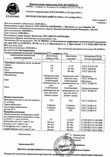 ПАНЦЕРИЯ: протокол исследования безопасности